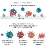 ベルーナHX-AS PGCAg