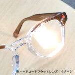 NIPPON LENS FLAT Lens サングラスカラー付き