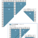 伊藤光学 RARTS60 PREMIUM 1.60 通常・4C 偏光レンズ 