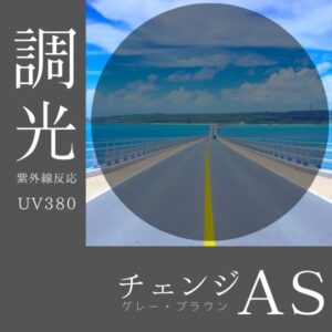 NIPPON LENS Change AS つるつるコート