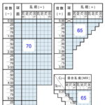 NIPPON LENS Change AS つるつるコート